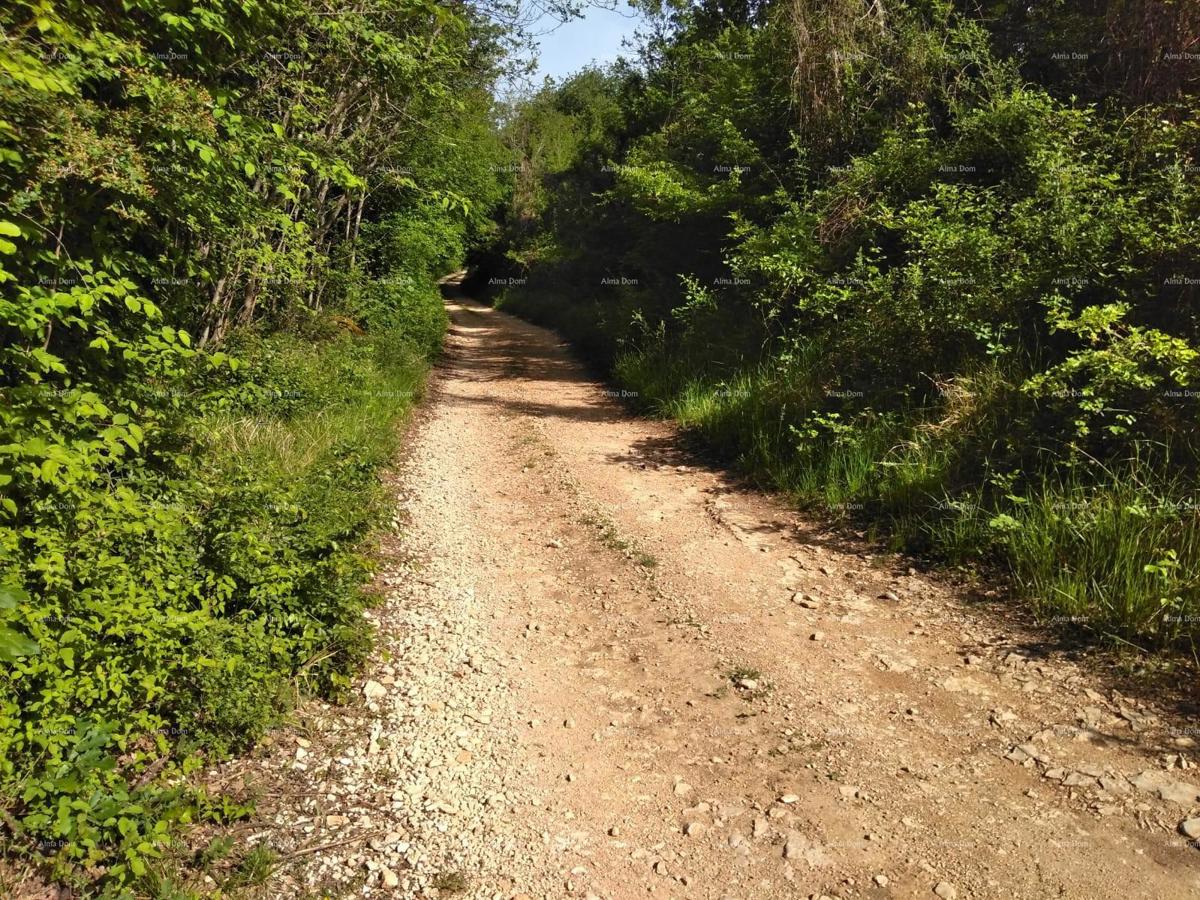 Terreno agricolo Poreč