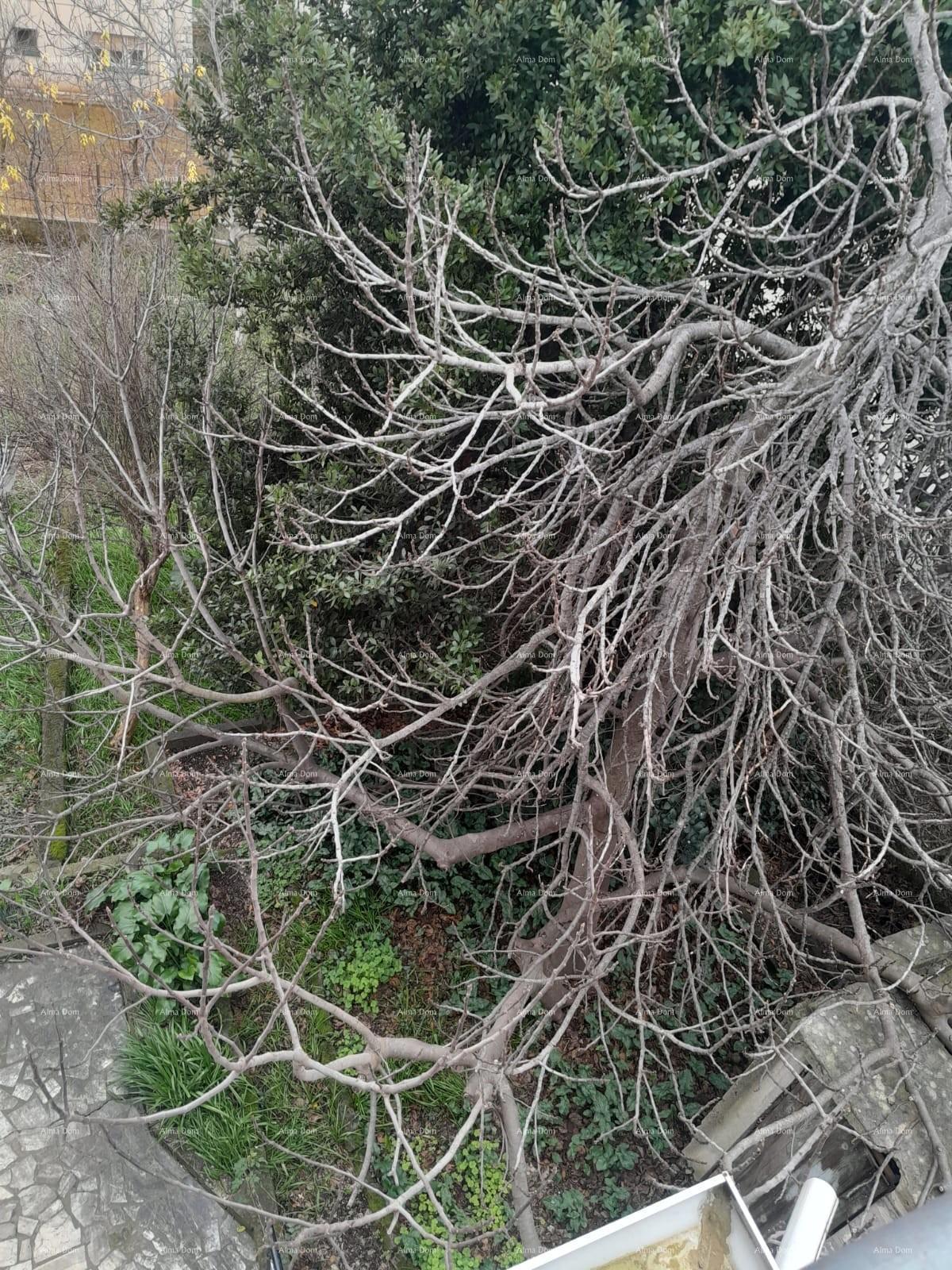 Vendita – Primo Piano di una Casa con Giardino e Parcheggio