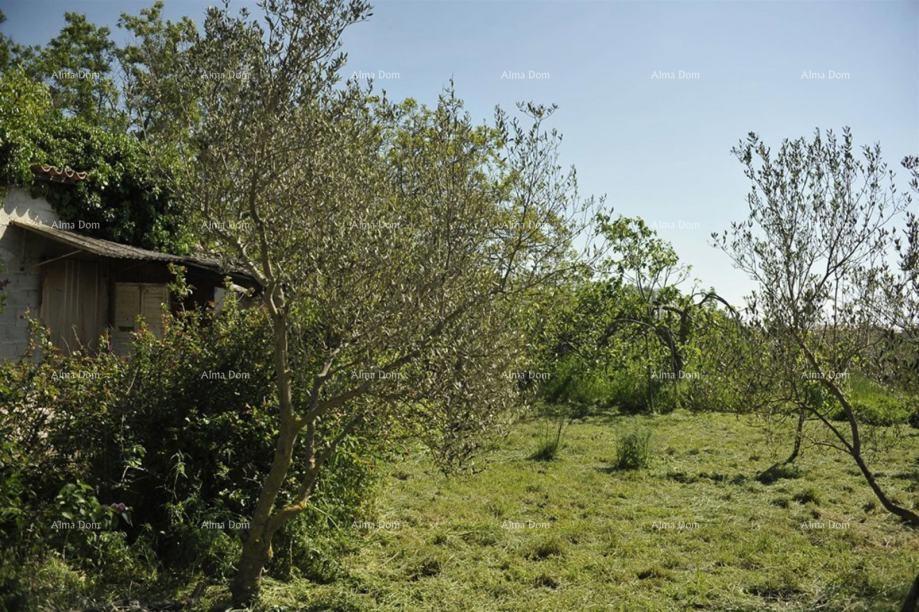 Terreno edificabile e agricolo – Loborika