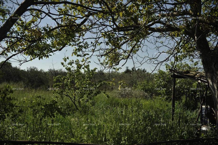 Terreno edificabile e agricolo – Loborika