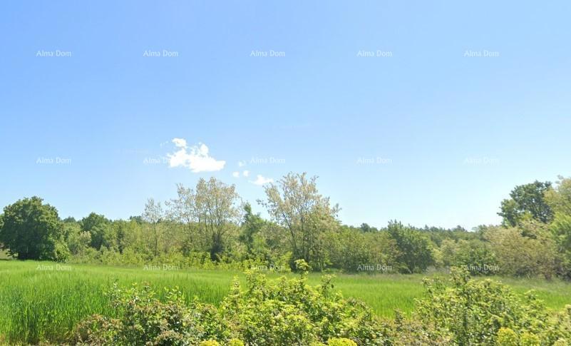 TINJAN – Terreno edificabile di 898 m² con permesso di costruzione e contributi già pagati!