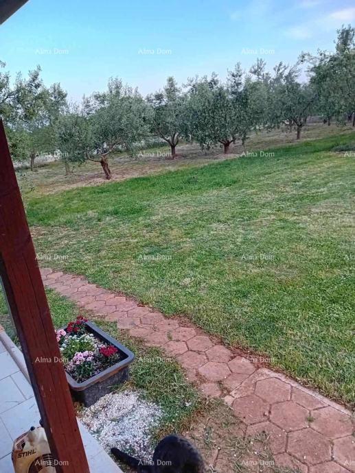 Marčana – Casa con uliveto