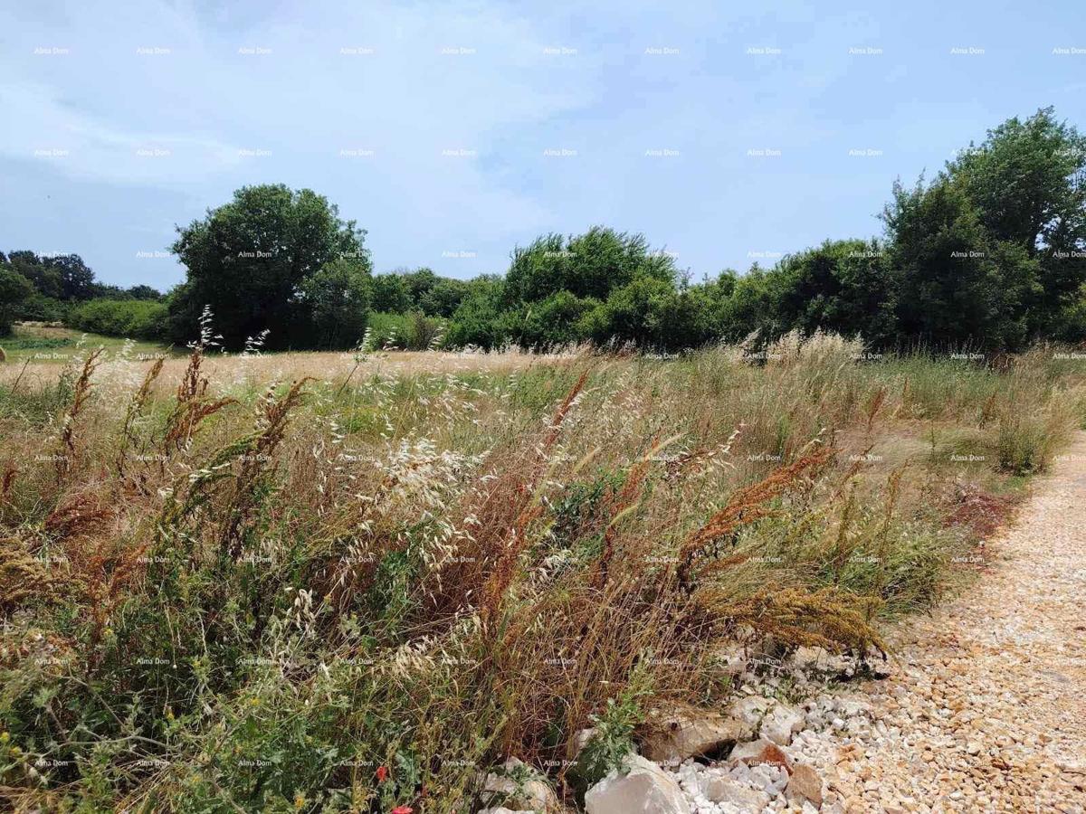 Terreno edificabile in vendita, 550 m² - 15 km da Lisignano