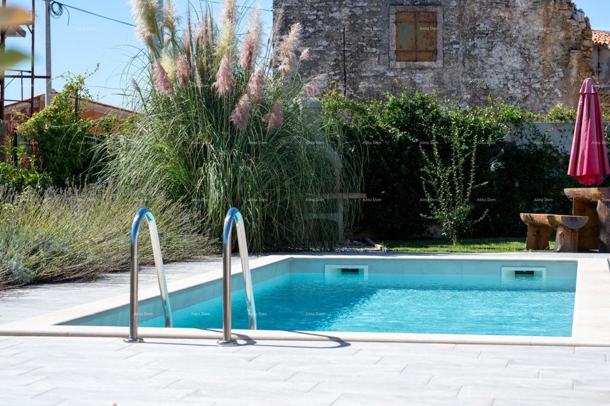 Offerta esclusiva, solo nella nostra agenzia!