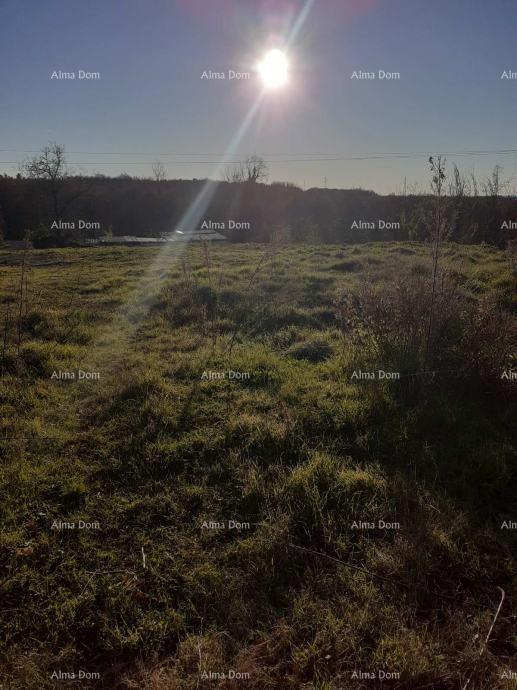 In vendita terreno a Brtonigla (Istria) – edificabile e agricolo, superficie totale di 5.000 m²