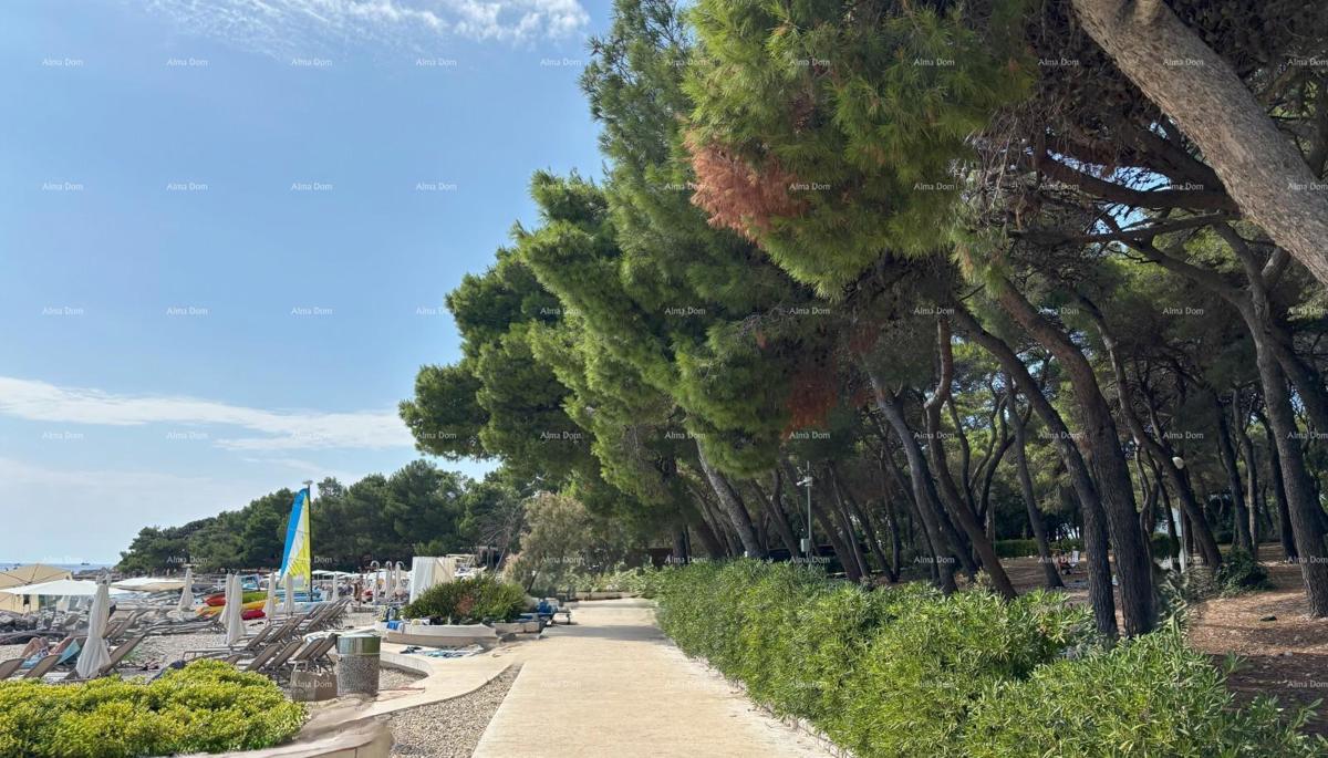 ROVIGNO - appartamento in vendita in un residence di lusso sul mare / S16