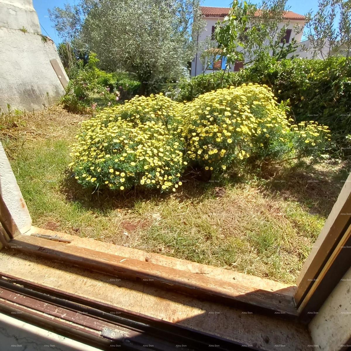 In vendita: affascinante casa istriana con ampio cortile – Valtura