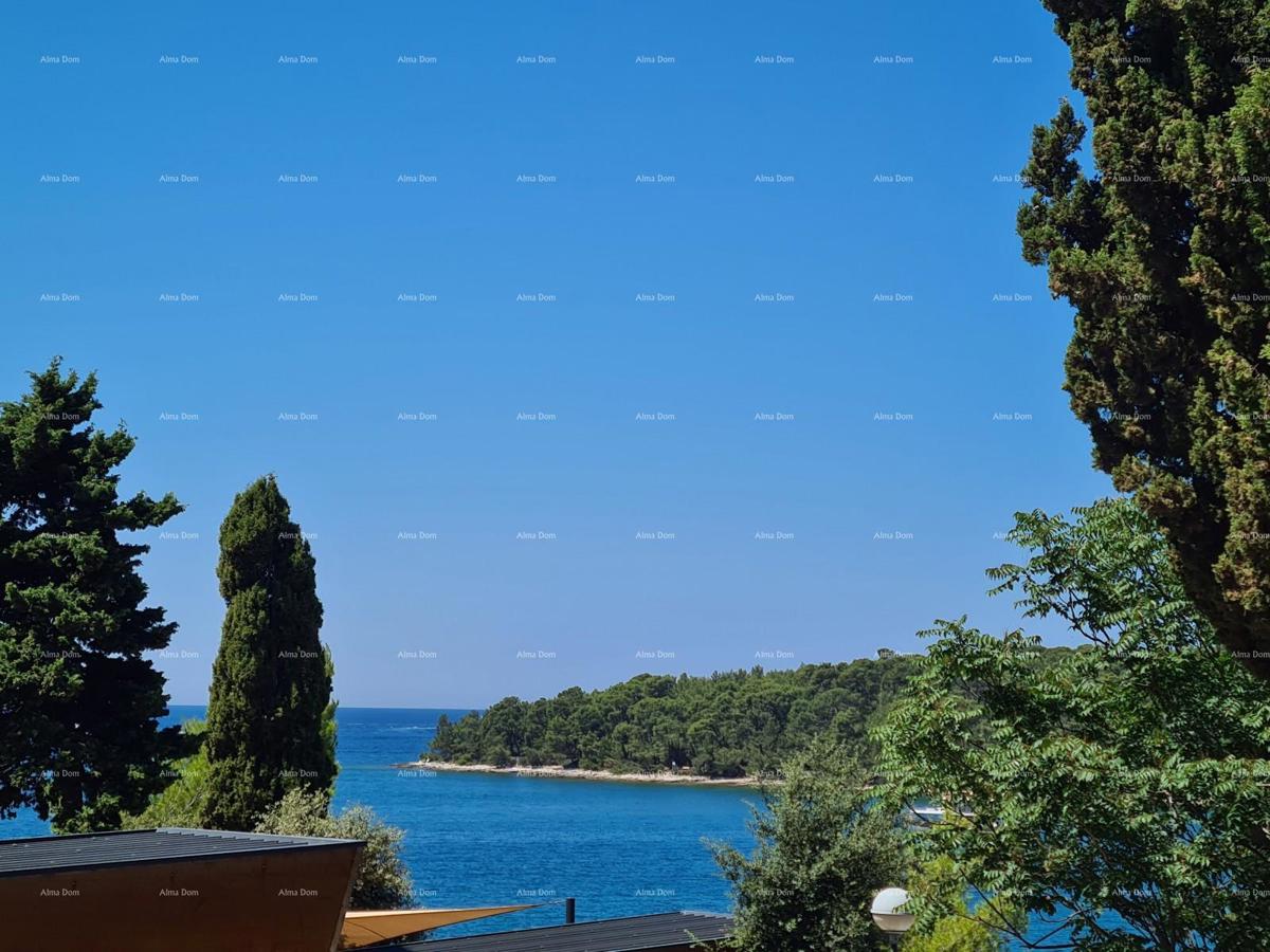 Casa da ristrutturare con grande terreno! Rovinj Porton Biondi.