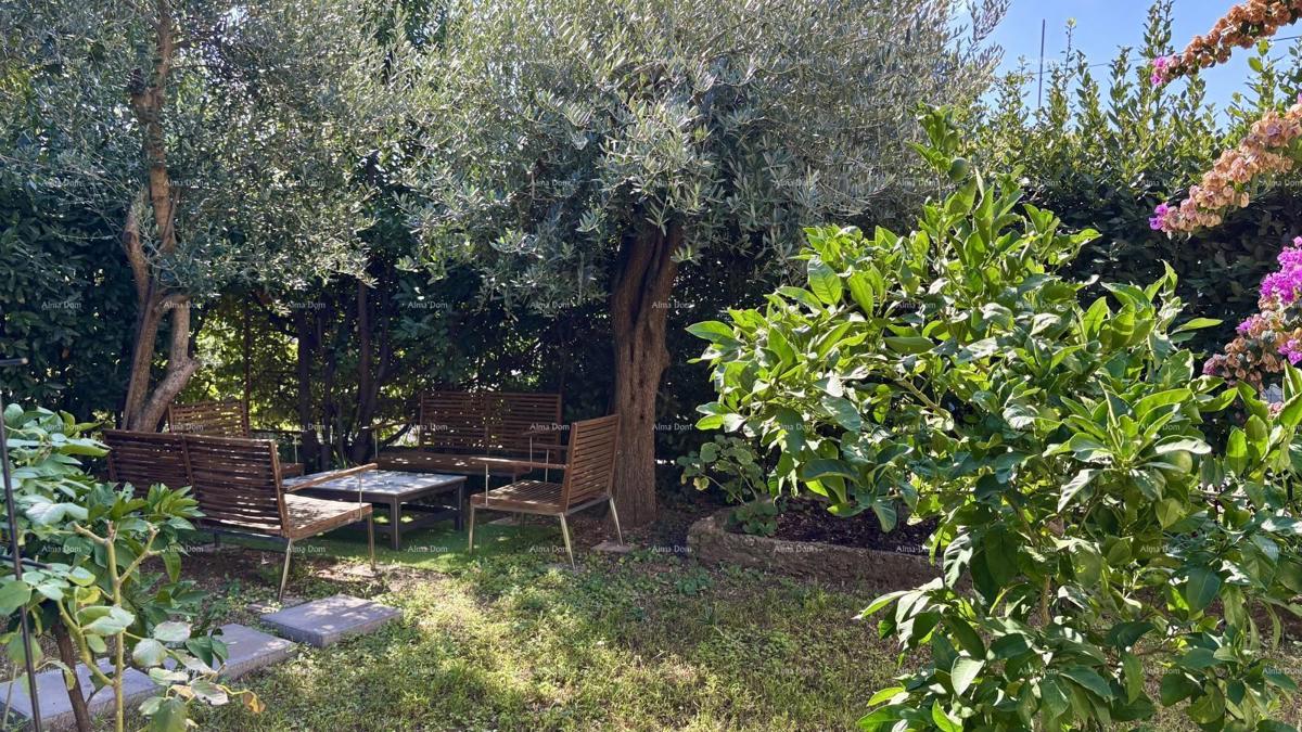 POLA, centro - vendita / appartamento di 55 m² con giardino e parcheggio