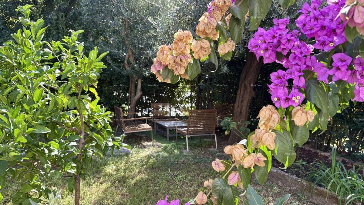 POLA, centro - vendita / appartamento di 55 m² con giardino e parcheggio