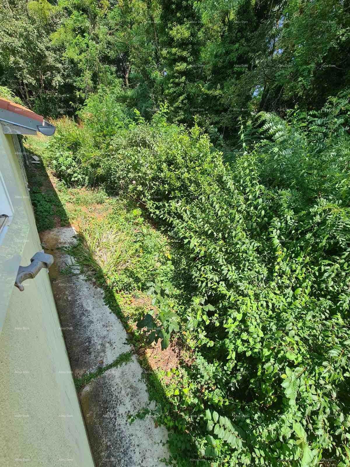 Vendita di una casa con cortile e grande appezzamento di terreno, Barban