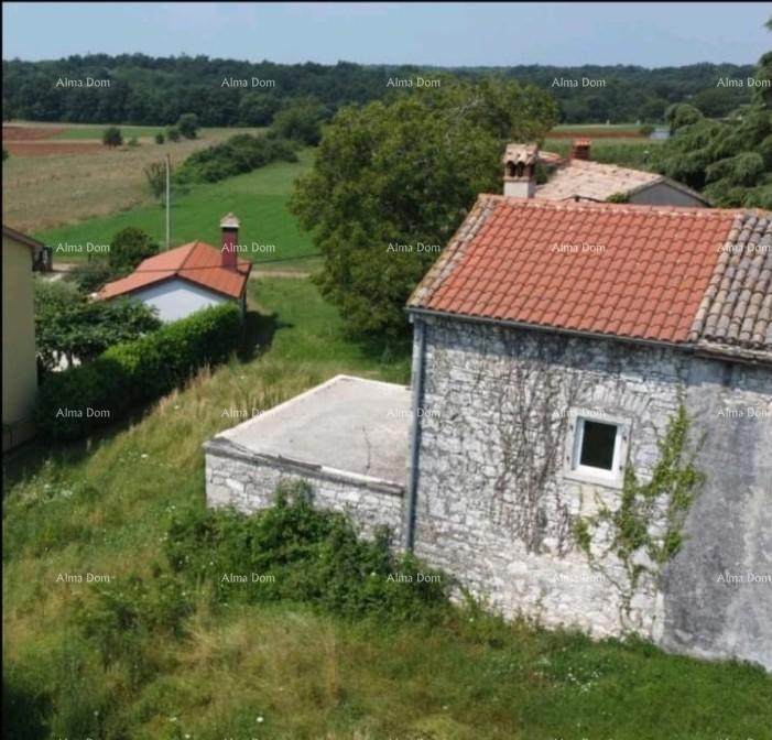 In vendita vecchia casa in pietra con terreno nel Barban, ideale per casa vacanze.