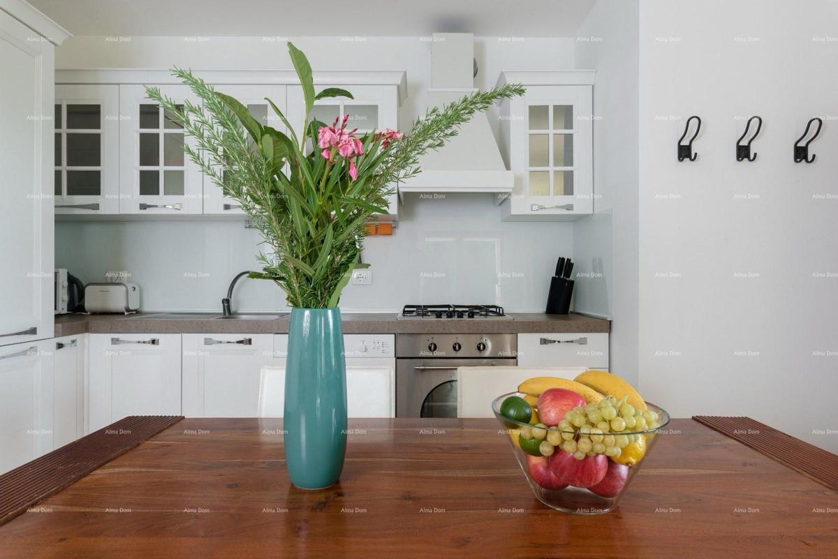 VILLA CON DUE APPARTAMENTI E PISCINA, DINTORNI DI LABIN