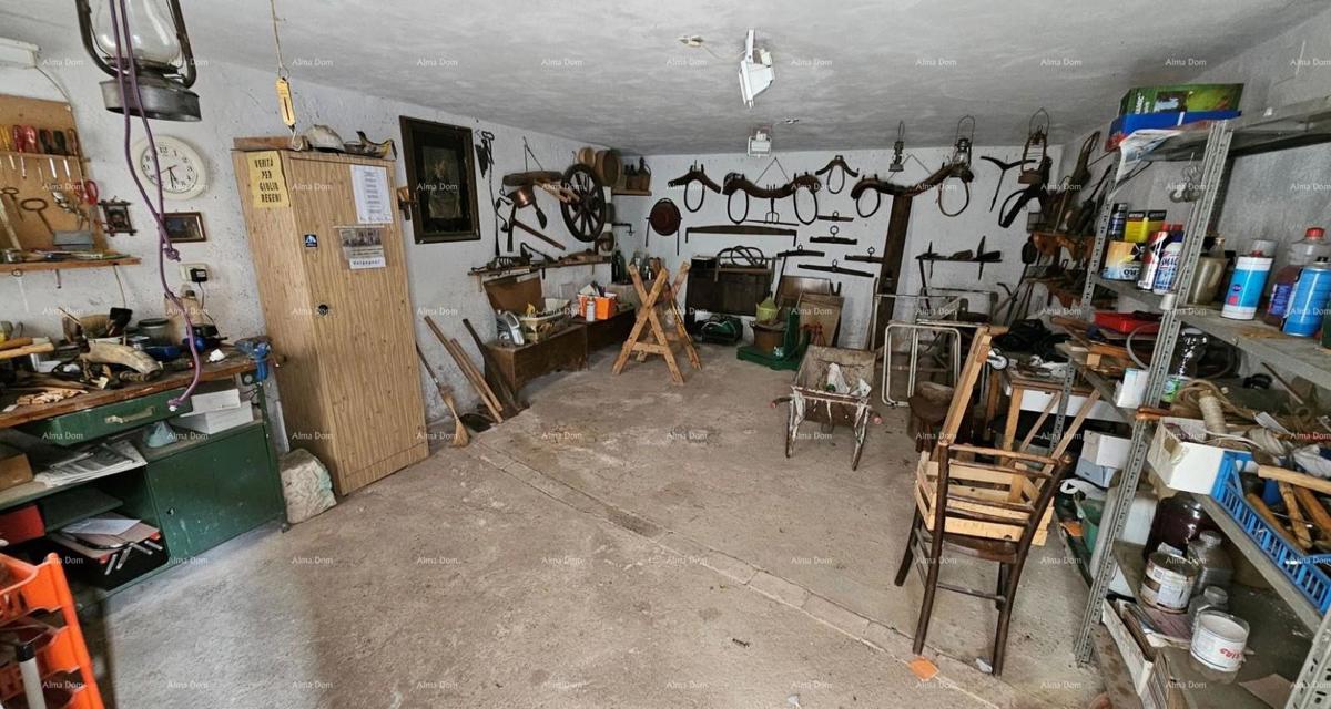 The translation of the title