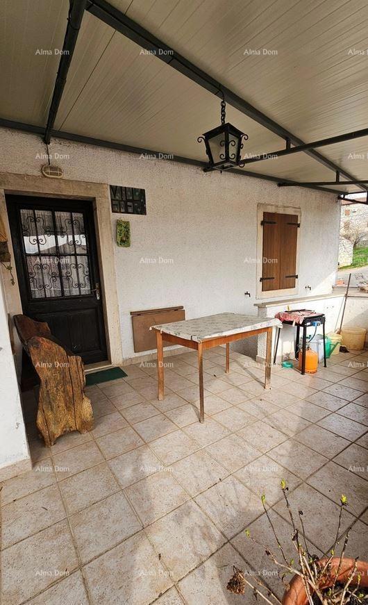 The translation of the title