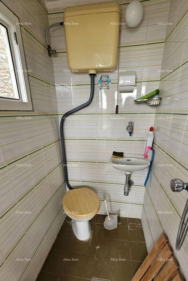 The translation of the title