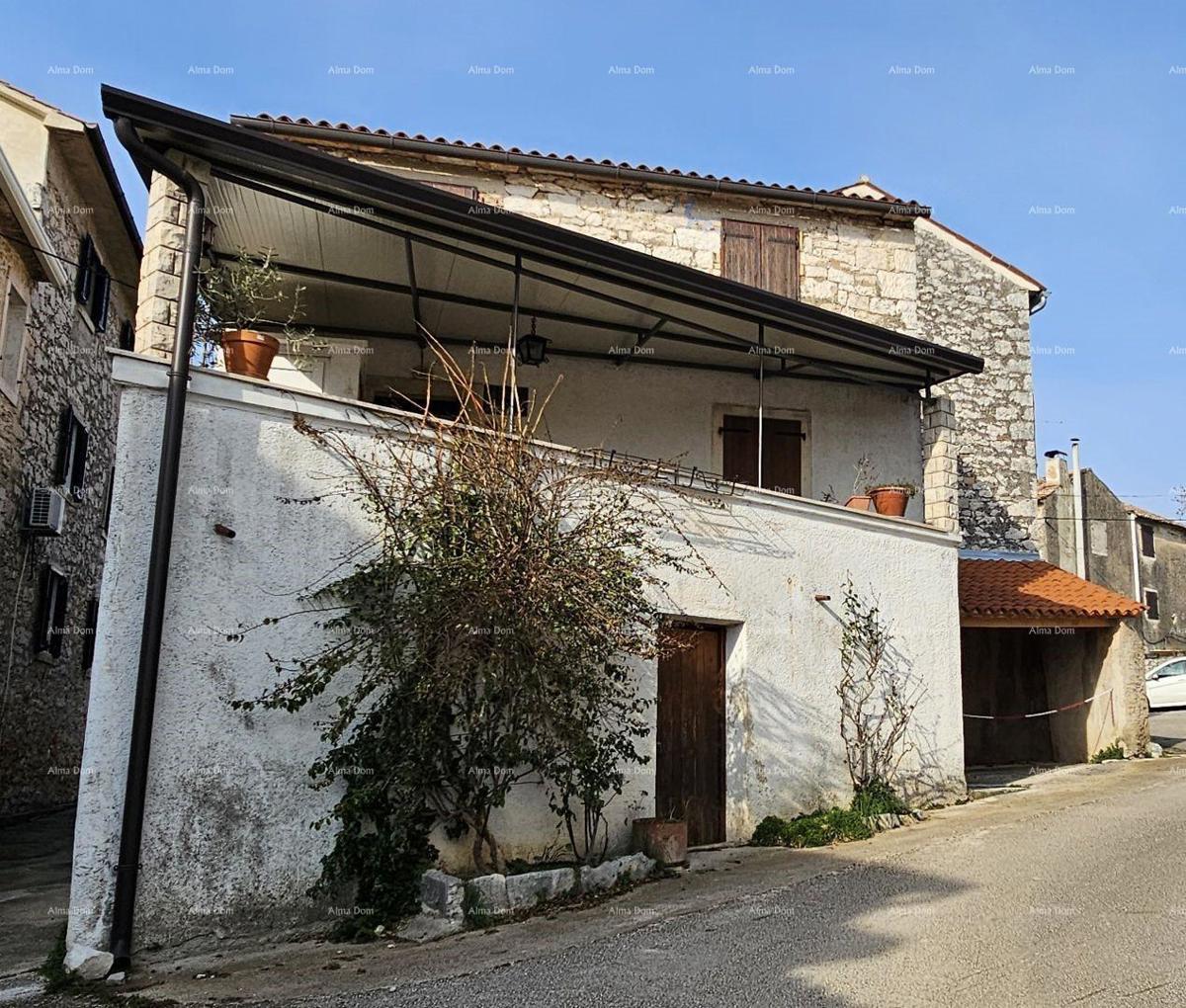 The translation of the title