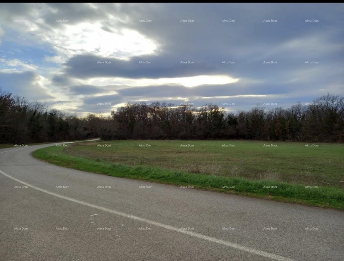 Terreno agricolo Umag