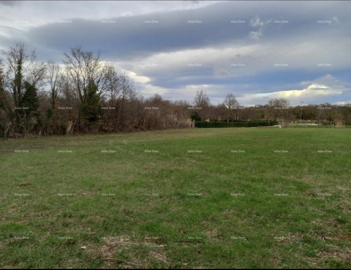 Terreno agricolo Umag