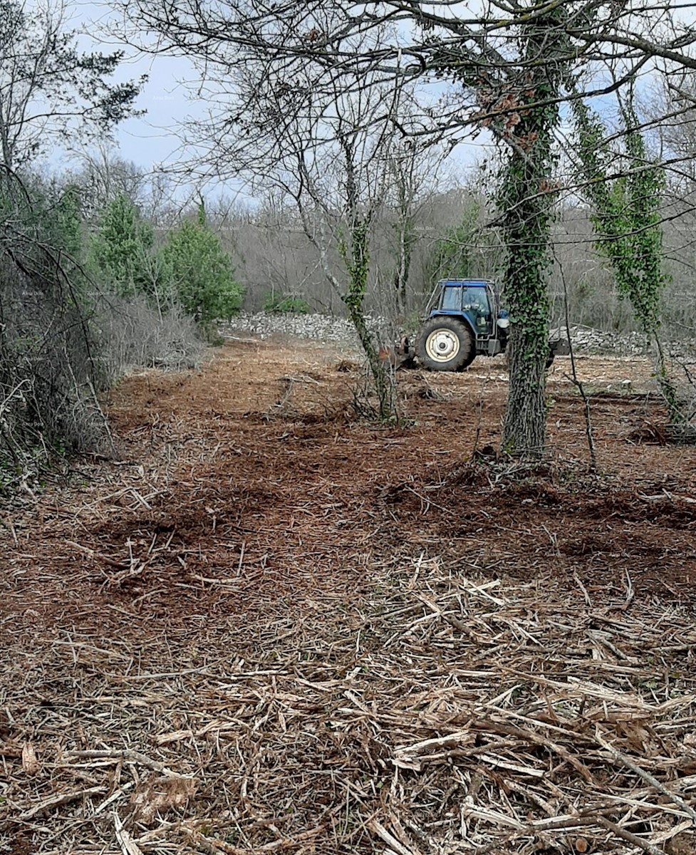 Terreno agricolo Rakalj