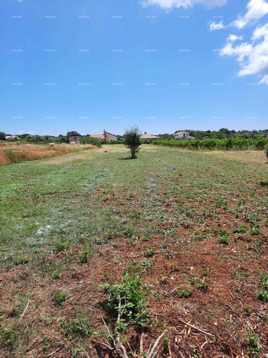 Vendita del terreno edificabile, Muntić