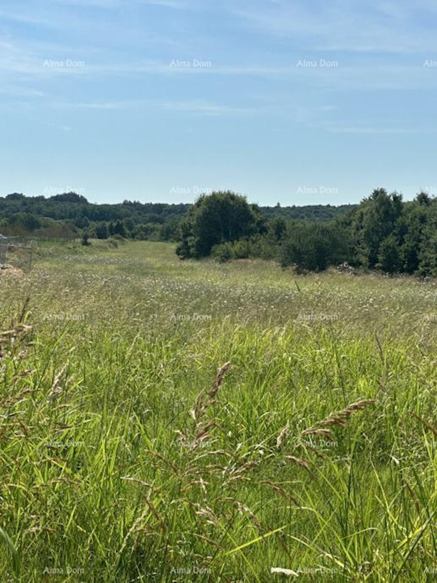 Terreno edificabile in vendita, 5832m2, Barbana