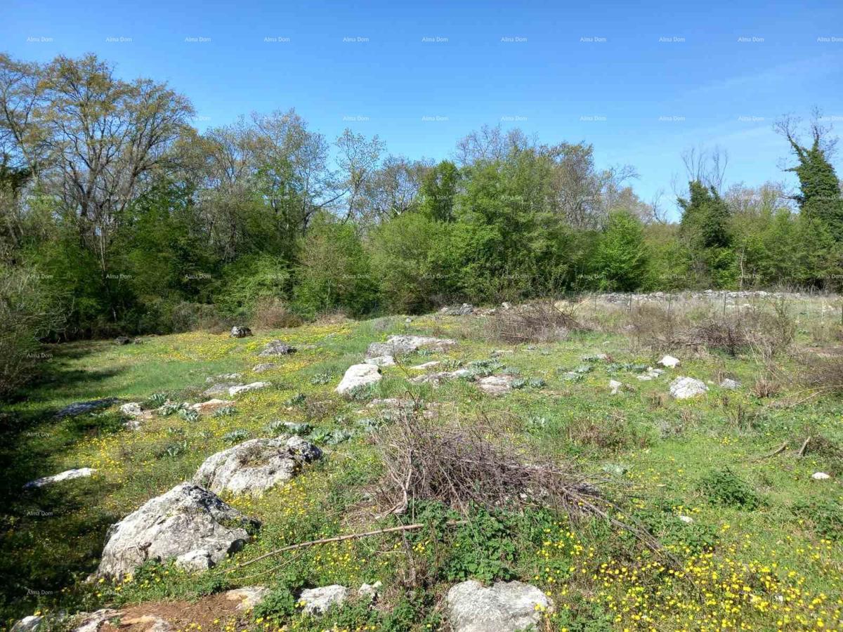 Terreno edificabile Sveti Lovreč