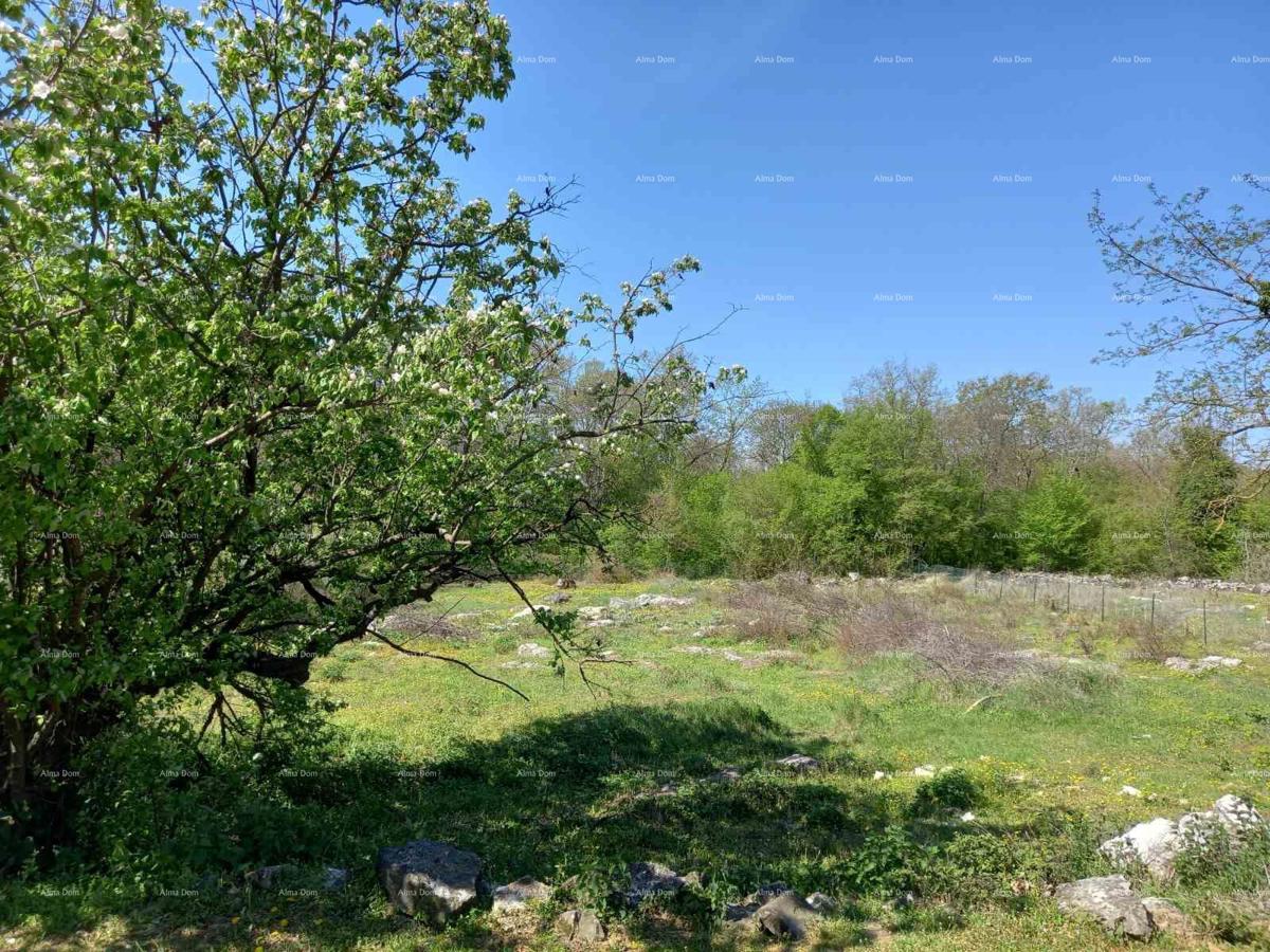 Terreno edificabile Sveti Lovreč