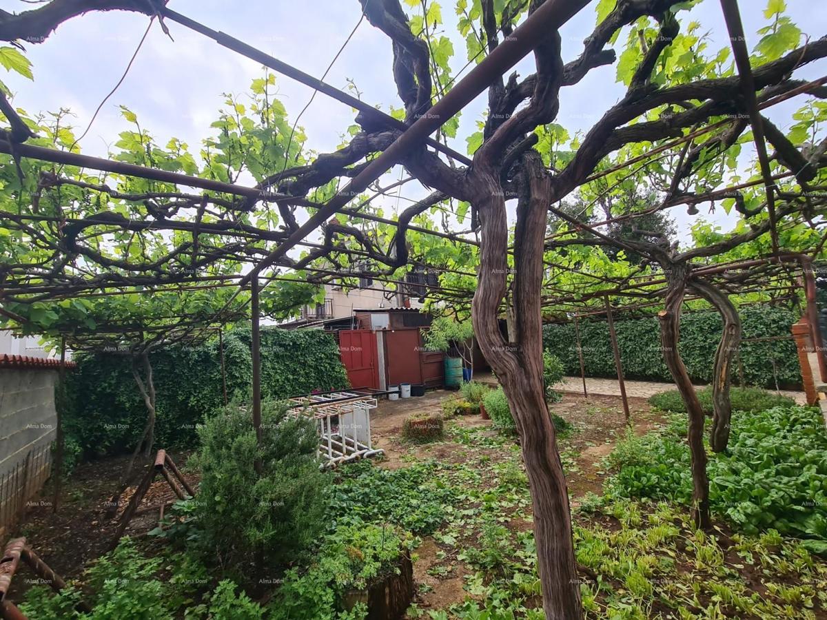 Casa con ampio cortile in vendita, Jadreški