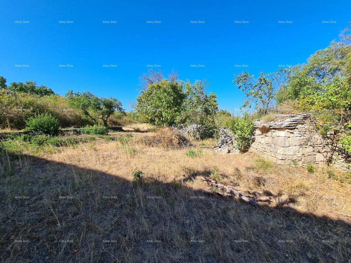 Tenuta vicino a Vodnjan! Grande terreno 7154 m2!!