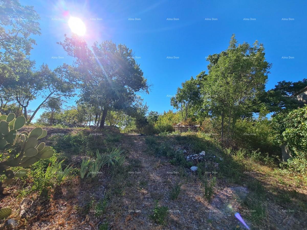 Tenuta vicino a Vodnjan! Grande terreno 7154 m2!!