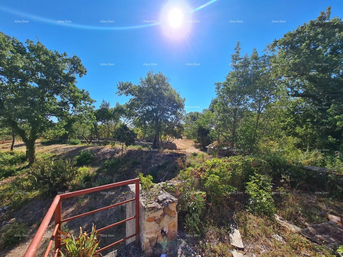 Tenuta vicino a Vodnjan! Grande terreno 7154 m2!!