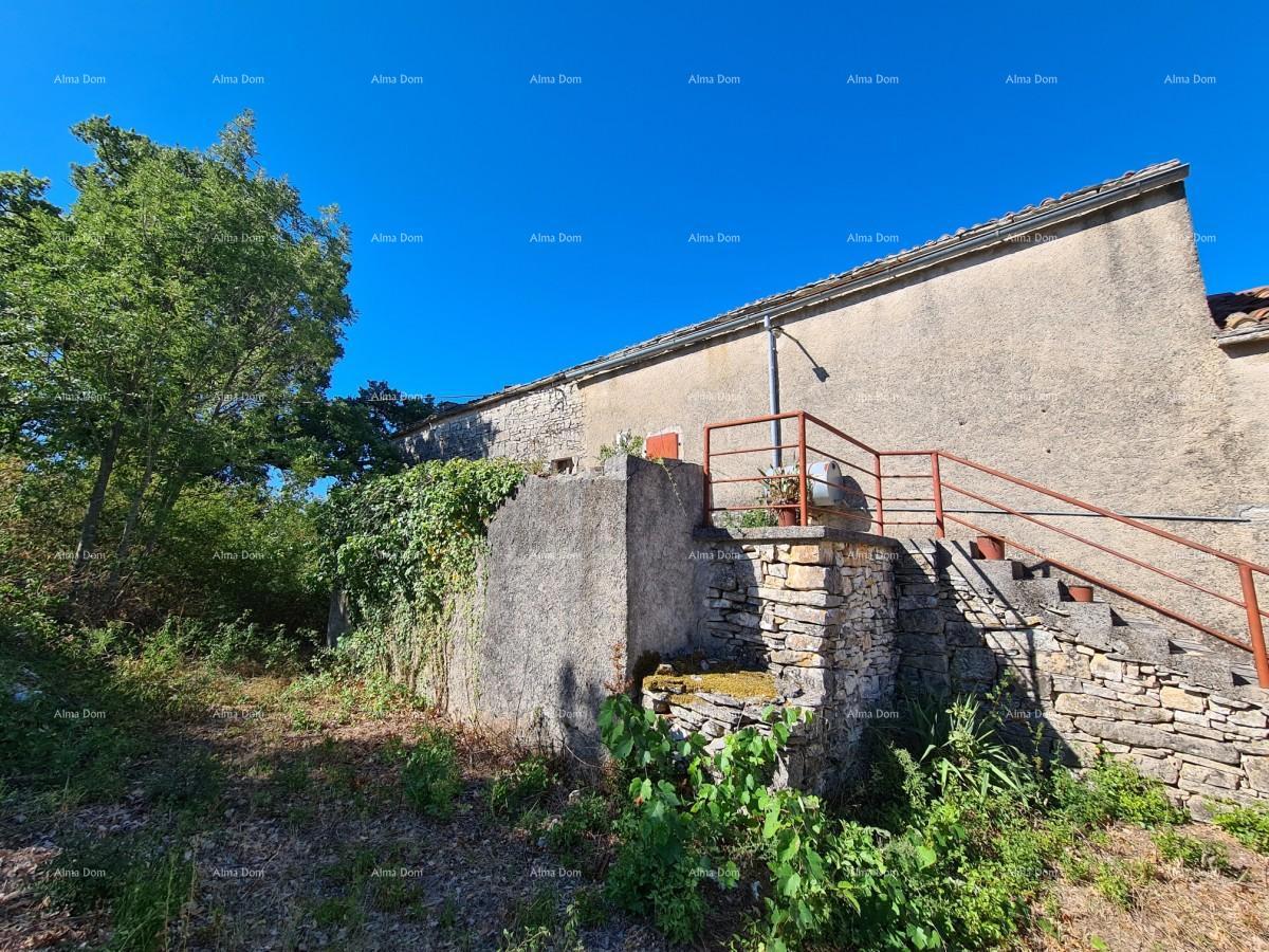 Tenuta vicino a Vodnjan! Grande terreno 7154 m2!!