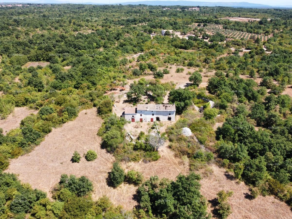 Tenuta vicino a Vodnjan! Grande terreno 7154 m2!!
