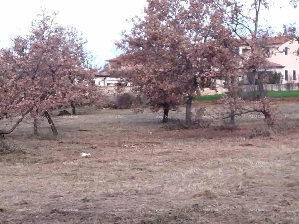 Kaštelir, terreno edificabile 1276 m²