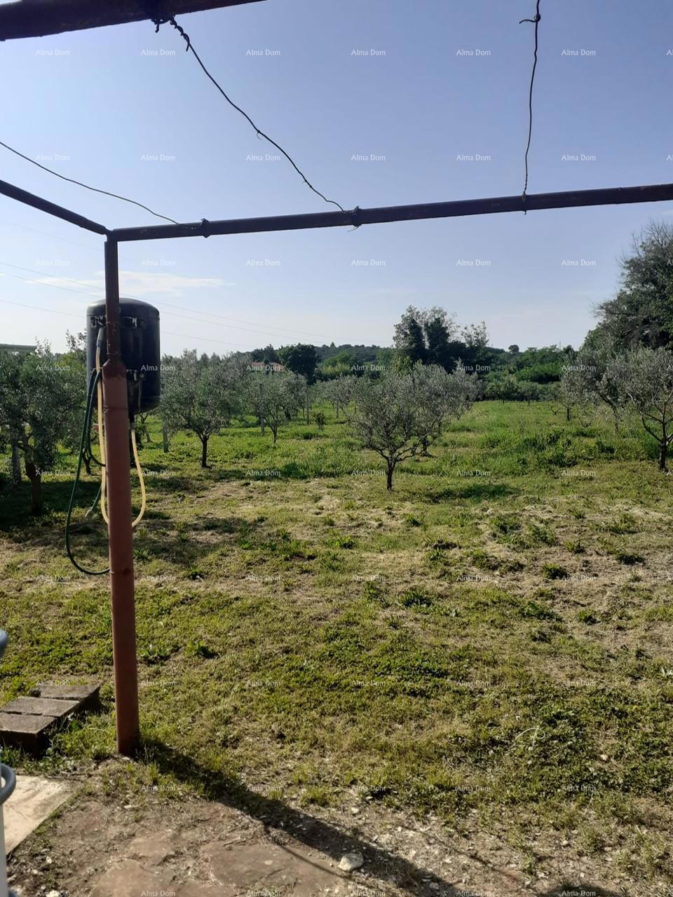 Vendita di due case legalizzate più piccole con terreno