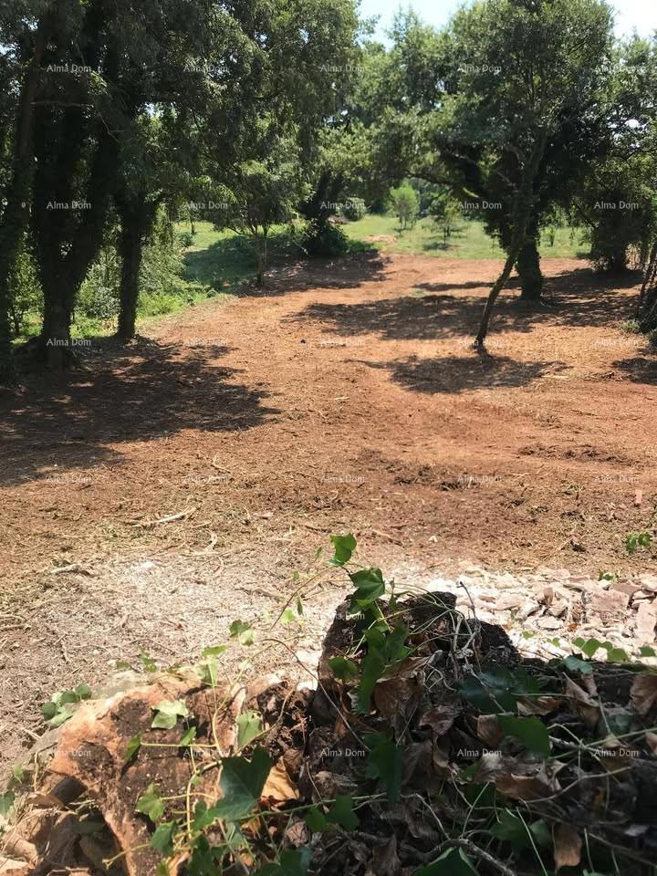 Terreno edificabile 1.137 m² – Filipana