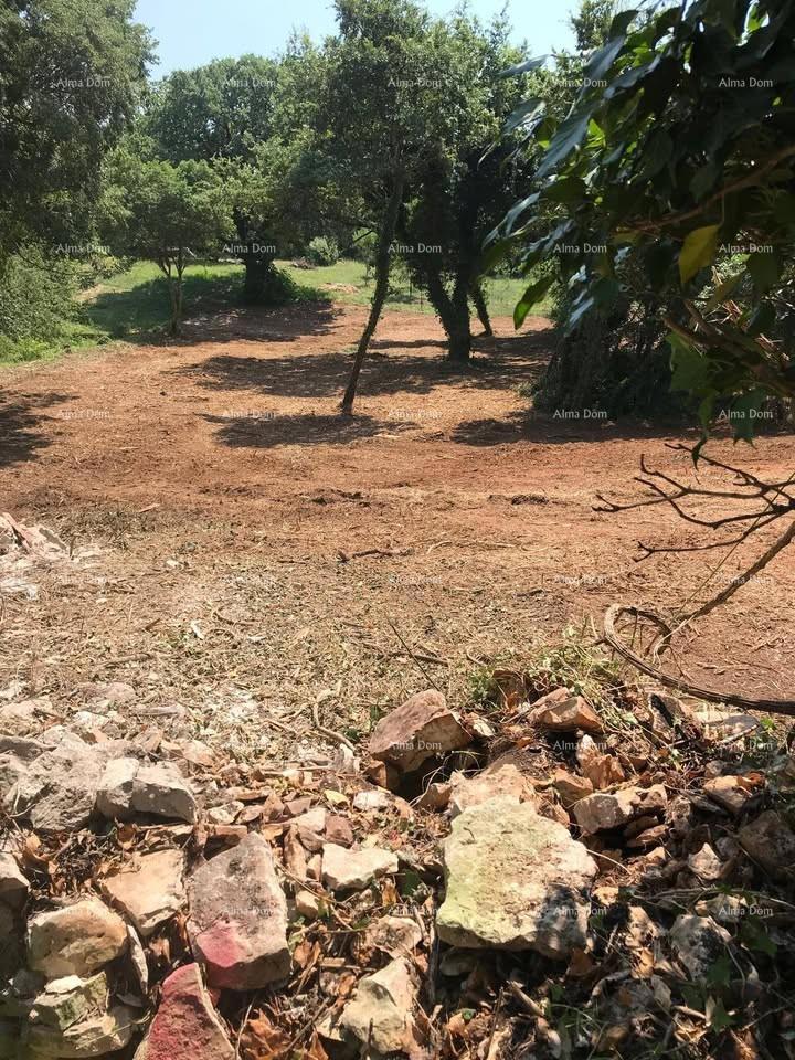 Terreno edificabile 1.137 m² – Filipana