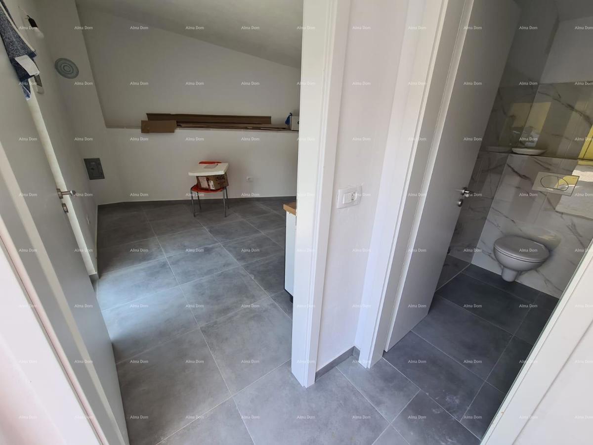 Ristrutturata casa in pietra con piscina – tranquillo villaggio vicino a Svetvinčenat