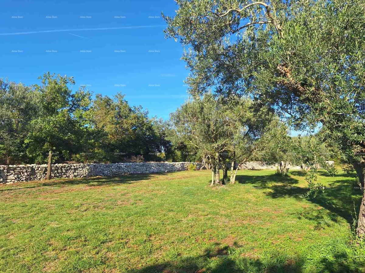 Terreno agricolo vicino al mare, Peroj-vendita!