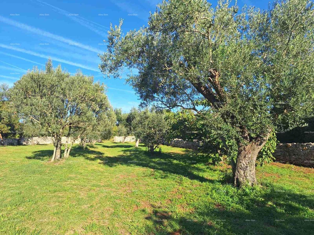 Terreno agricolo vicino al mare, Peroj-vendita!