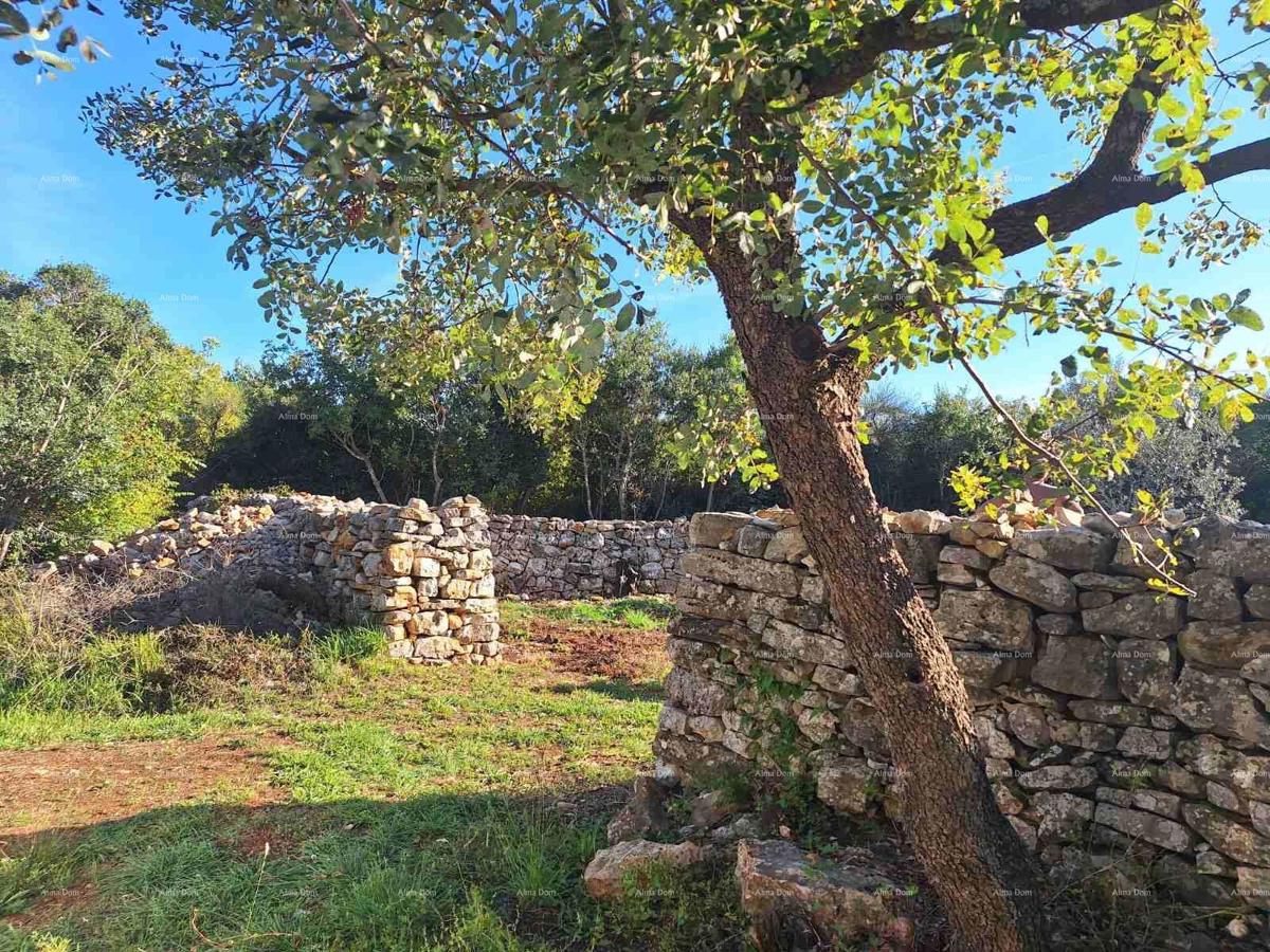 Terreno agricolo vicino al mare, Peroj-vendita!