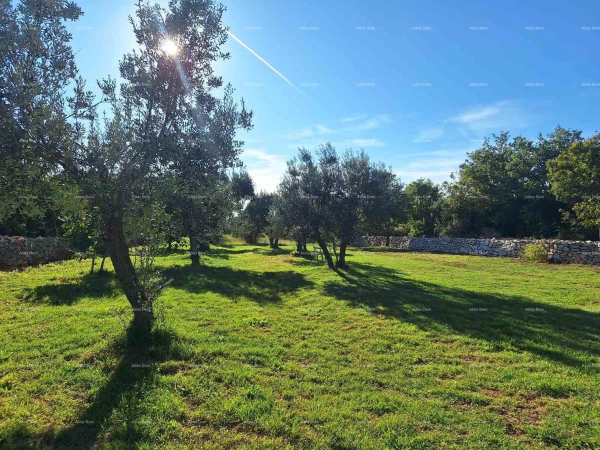Terreno agricolo vicino al mare, Peroj-vendita!