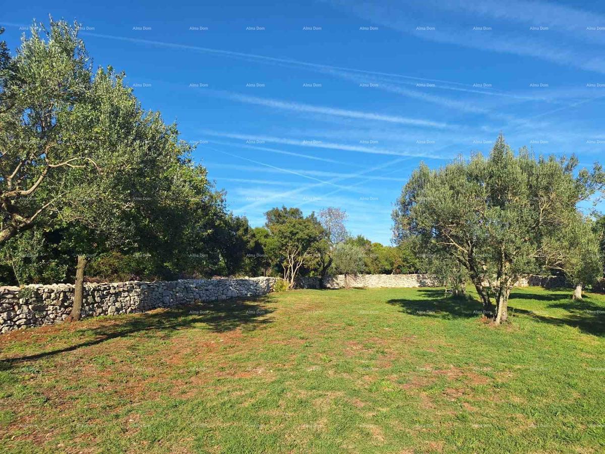 Terreno agricolo vicino al mare, Peroj-vendita!