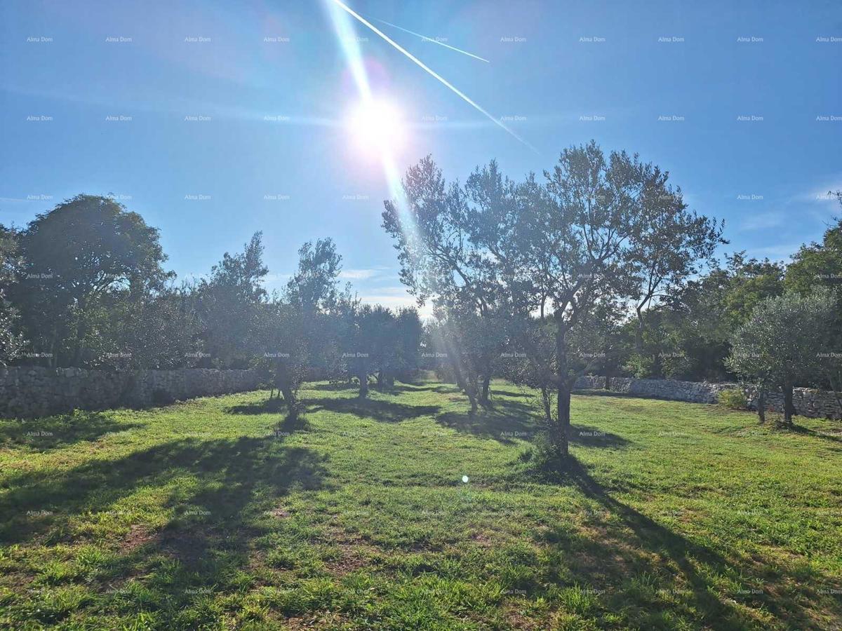 Terreno agricolo vicino al mare, Peroj-vendita!