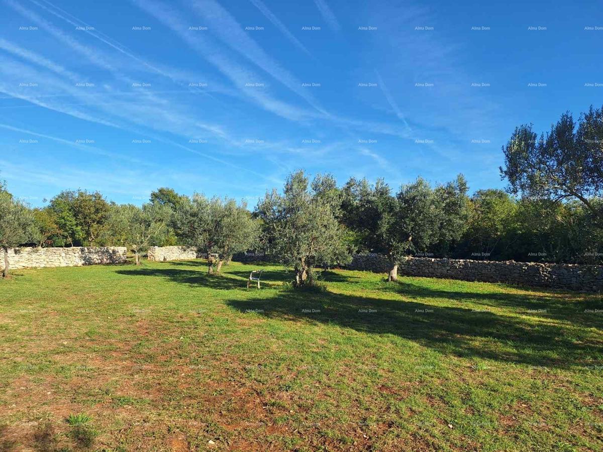 Terreno agricolo vicino al mare, Peroj-vendita!