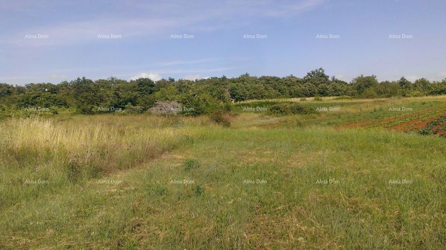 Terreno edificabile 2.539 m² – Smoljanci, Svetvinčenat