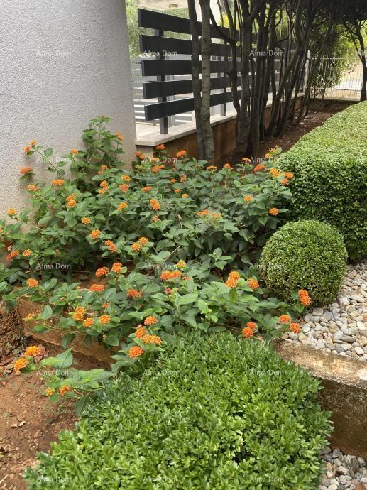 Pula – Casa con due unità abitative, a 50 m dal mare