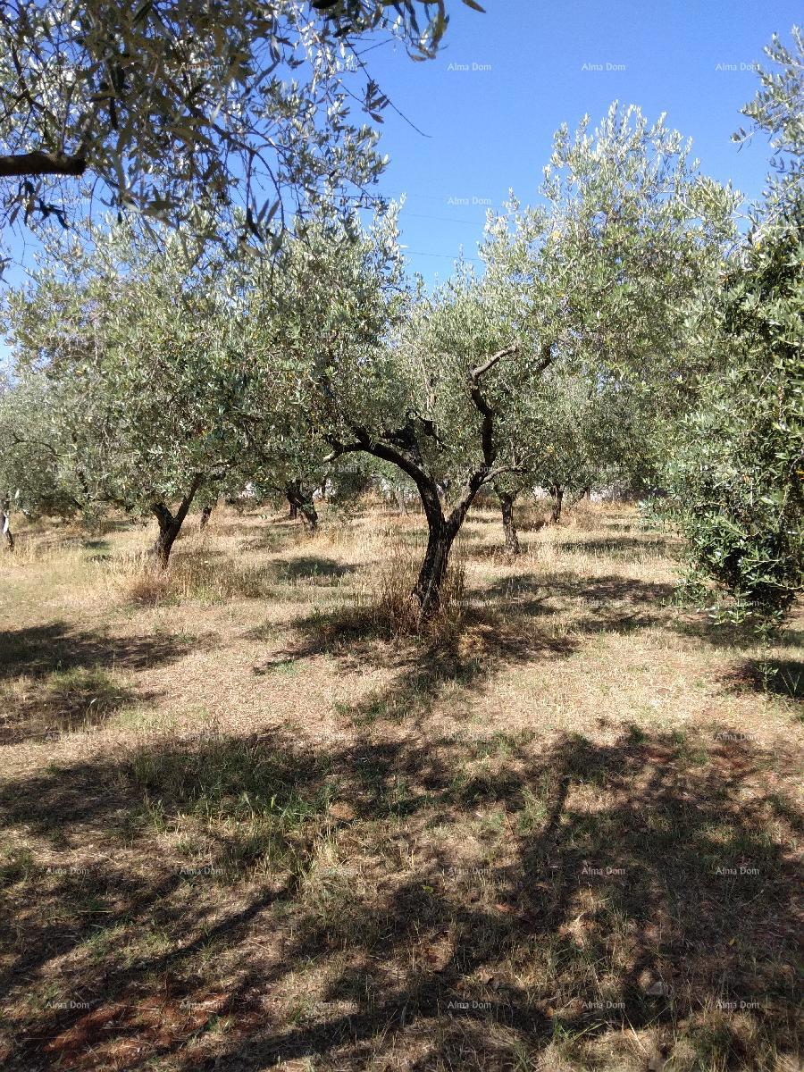 Terreno edificabile Pula