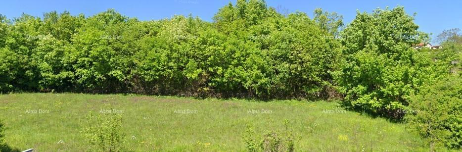 Terreno edificabile 4.168 m² – Tinjan, Istria